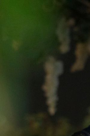 Bridgerton. (L to R) Luke Thompson as Benedict Bridgerton, Yerin Ha as Sophie Baek in episode 401 of Bridgerton. Cr. Liam Daniel/Netflix © 2025