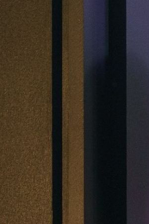 Heated Rivalry shane and ilya