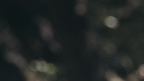 Grupo Intocable_Cultura Tour