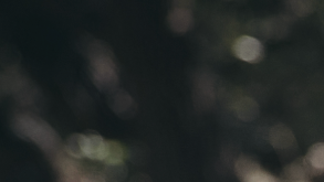 Grupo Intocable_Cultura Tour