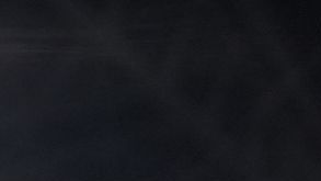 Seattle Seahawks safety Julian Love (20) celebrates after a win over the Los Angeles Rams in the NFC Championship NFL football game Sunday, Jan. 25, 2026, in Seattle. (AP Photo/Lindsey Wasson)