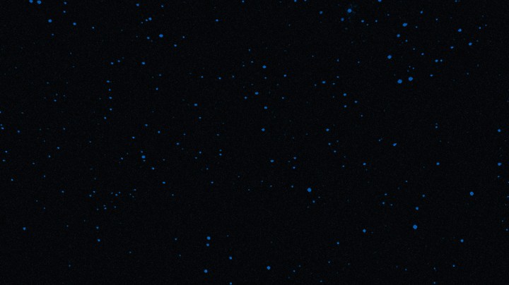 Pitbull_I’m Back Tour