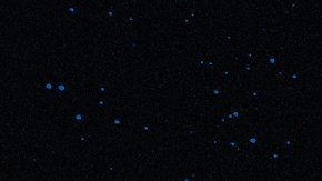 Pitbull_I’m Back Tour