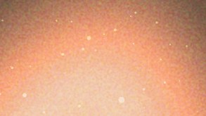 Aquarius Artists_Tego Calderon_Vicente Fernandez