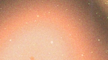 Aquarius Artists_Tego Calderon_Vicente Fernandez