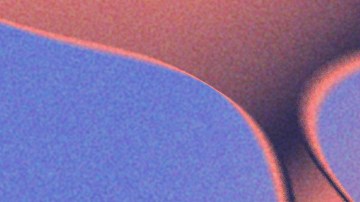 Christian Gonzalez, Andres Borregales, and Julian Love