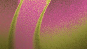 Yailin La Más Viral-Xavi-Marco Antonio Solís_2026 Premio