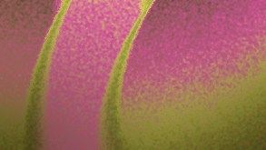 Yailin La Más Viral-Xavi-Marco Antonio Solís_2026 Premio