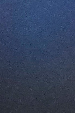 Bad Bunny_Halftime Show