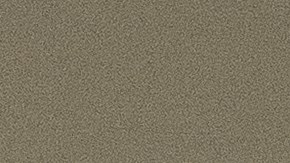 Fuerza Regida_This Is Our