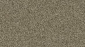 Fuerza Regida_This Is Our