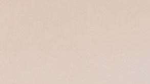 HOLLYWOOD, CALIFORNIA - JANUARY 22: X Mayo attends the Wonder Man launch event at TCL Chinese Theatre on January 22, 2026 in Hollywood, California. (Photo by Alberto E. Rodriguez/Getty Images for Disney)