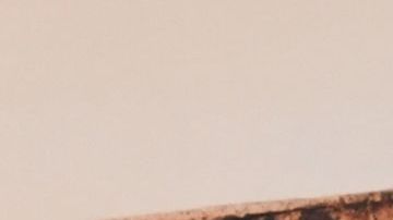 HOLLYWOOD, CALIFORNIA - JANUARY 22: X Mayo attends the Wonder Man launch event at TCL Chinese Theatre on January 22, 2026 in Hollywood, California. (Photo by Alberto E. Rodriguez/Getty Images for Disney)