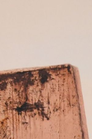 HOLLYWOOD, CALIFORNIA - JANUARY 22: X Mayo attends the Wonder Man launch event at TCL Chinese Theatre on January 22, 2026 in Hollywood, California. (Photo by Alberto E. Rodriguez/Getty Images for Disney)