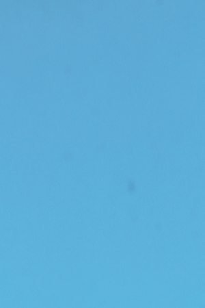 Courtesy of the artist