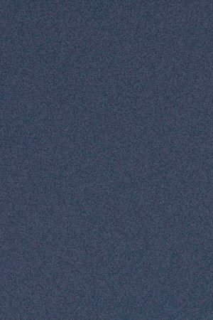 Shakira_Rock & Roll Hall