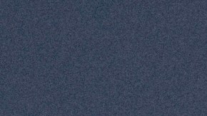 Shakira_Rock & Roll Hall