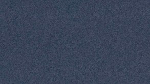 Shakira_Rock & Roll Hall