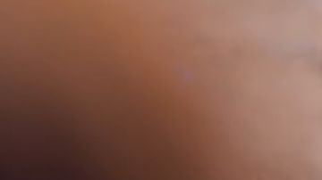 Bonnie in Toy Story 5