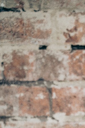 Verito Asprilla-Cover