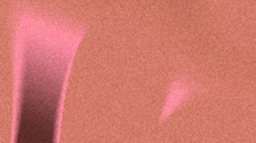 Art by Stephany Torres for Remezcla