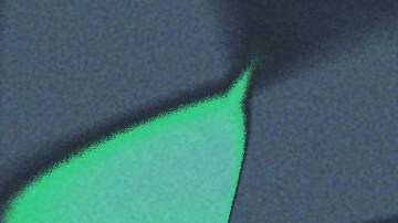 Jung Kook and Rosie Perez