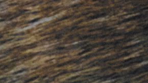 willy chavarria la collection