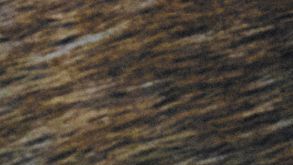 willy chavarria la collection