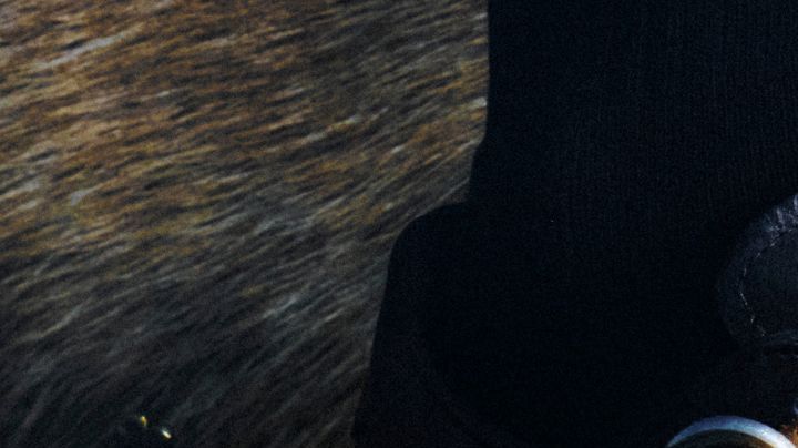 willy chavarria la collection