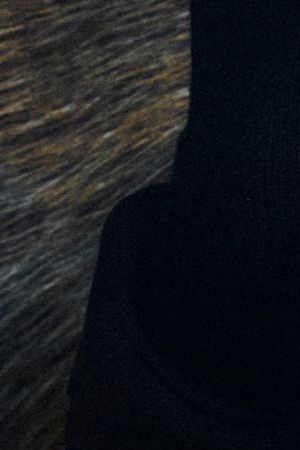 willy chavarria la collection