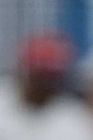 Title: WBC Netherlands Dominican Republic Baseball Image ID: 26067716703509 Article: Dominican Republic manager Albert Pujols stands on the field during the third inning of a World Baseball Classic game against the Netherlands, Sunday, March 8, 2026, in Miami. (AP Photo/Rebecca Blackwell)