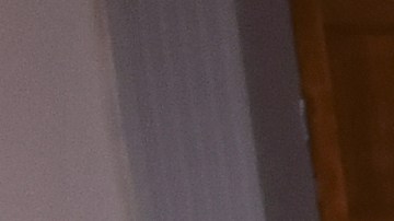 Banda Los Recoditos_Banda Los