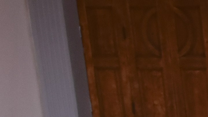 Banda Los Recoditos_Banda Los