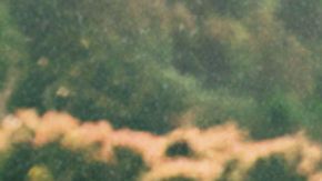 John Leguizamo as Pablo Escobar