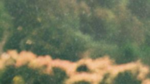 John Leguizamo as Pablo Escobar