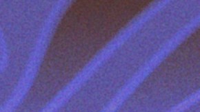 women's march madness