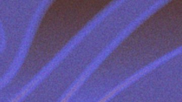 women's march madness