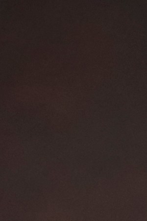 Julieta Venegas_Norteña