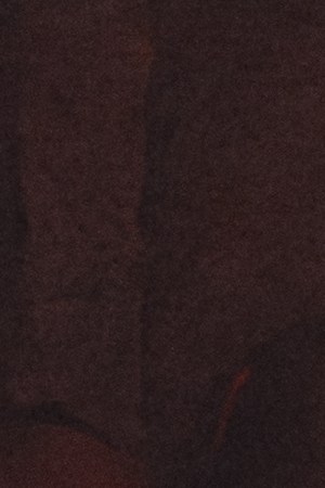 Karol G_Coachella 2026_