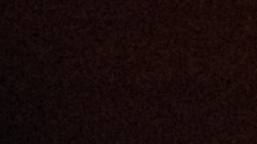 Young Miko_Late Checkout Tour