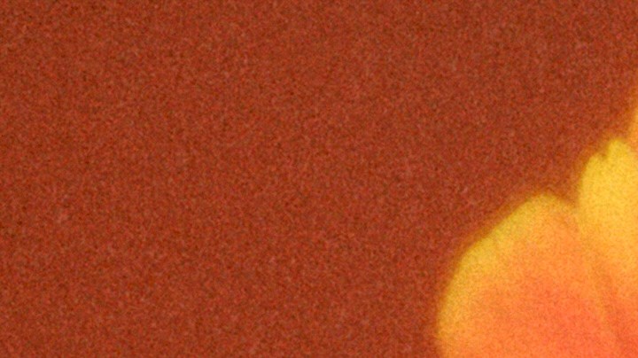 Karol G_Coachella 2026