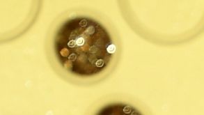 Title: 71st Primetime Emmy Awards - Arrivals Image ID: 19265858387901 Article: Lena Headey arrives at the 71st Primetime Emmy Awards on Sunday, Sept. 22, 2019, at the Microsoft Theater in Los Angeles. (Photo by Vince Bucci/Invision for the Television Academy/AP Images)