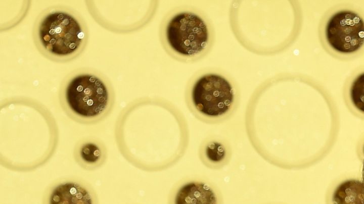 Title: 71st Primetime Emmy Awards - Arrivals Image ID: 19265858387901 Article: Lena Headey arrives at the 71st Primetime Emmy Awards on Sunday, Sept. 22, 2019, at the Microsoft Theater in Los Angeles. (Photo by Vince Bucci/Invision for the Television Academy/AP Images)