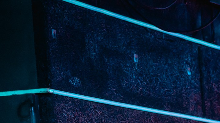 Photo by Kristal Conyé