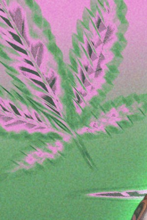 Planet Hemp_Ludmilla_Cannabis