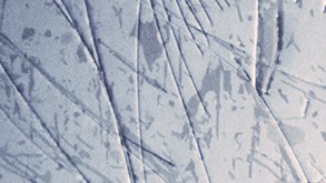 BAD GYAL_Más Cara Tour