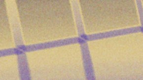 Bad Bunny-Young Miko-Joe Jonas_Coachella 2026_Special Guests