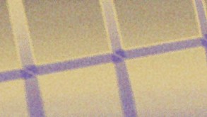 Bad Bunny-Young Miko-Joe Jonas_Coachella 2026_Special Guests