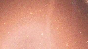 Taurus-Six Sex-JOP