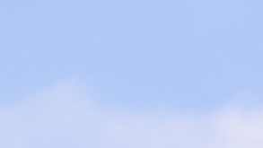 YL200097